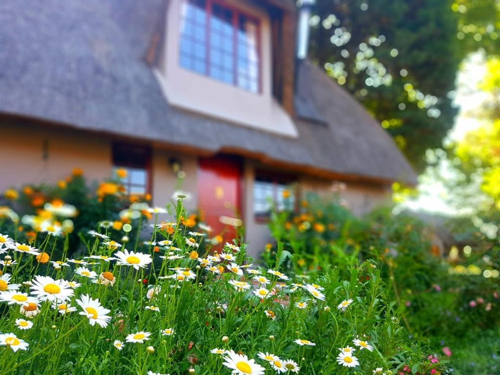 Granny Mouse Country House & Spa Balgowan Eksteriør billede